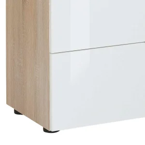 Zweifarbige Kombi-Kommode In Weiß Glas – Ildanov 12